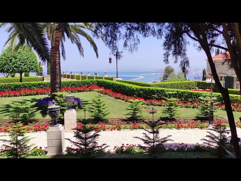 ბახაის ბაღები და ინტერვიუ თემოსთან / Bahai Gardens and interview with Temo